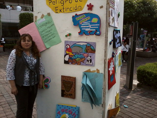 Evidencias